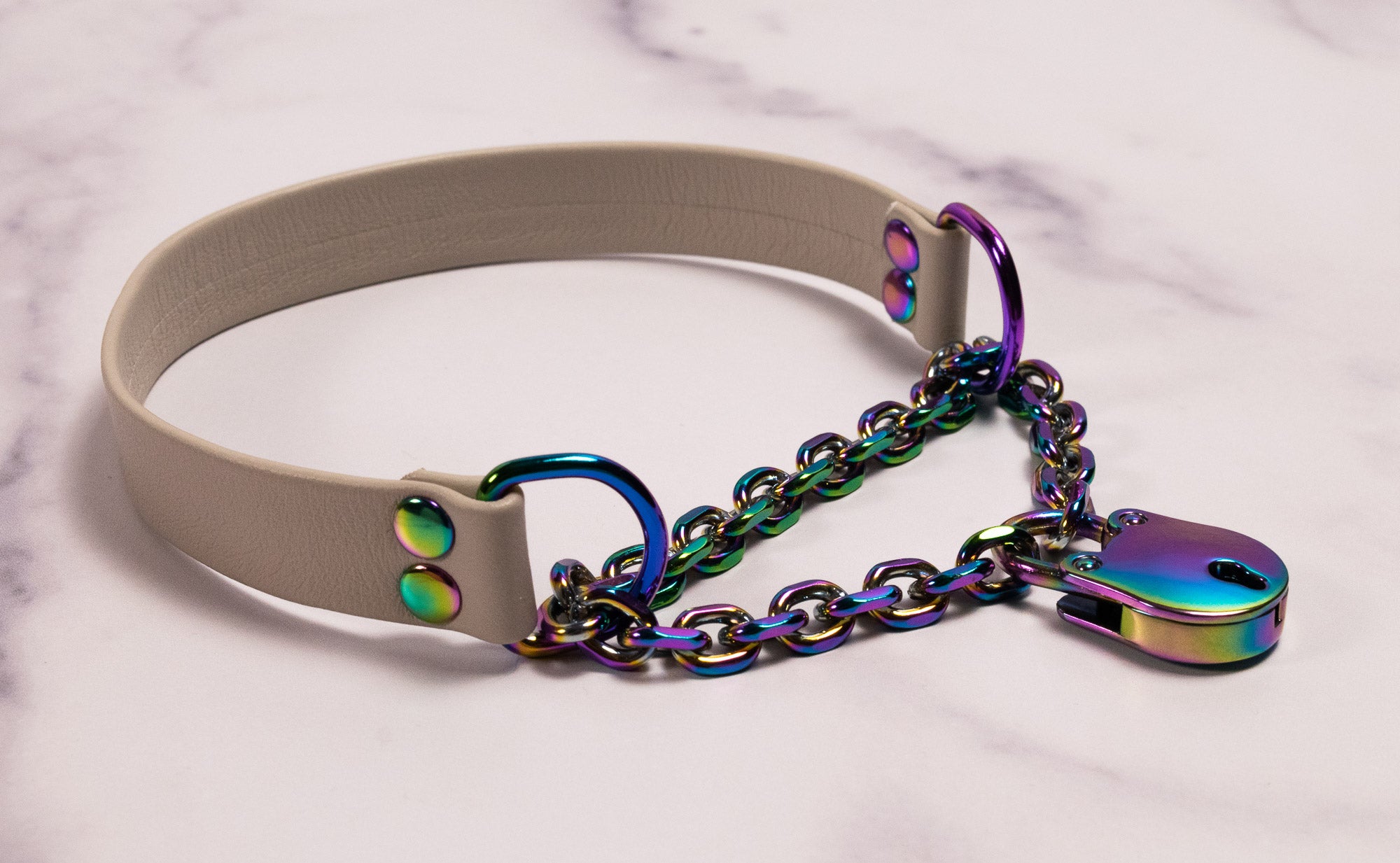 Rainbow & Mushroom Leather Locking Martingale Collar _ LIMITED _