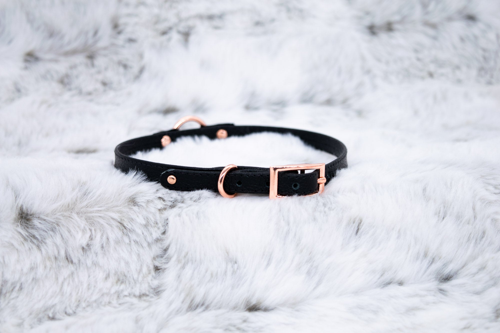 3/8" Preciosa Deluxe O-ring Black Leather and Velvet Collar in Rose Gold