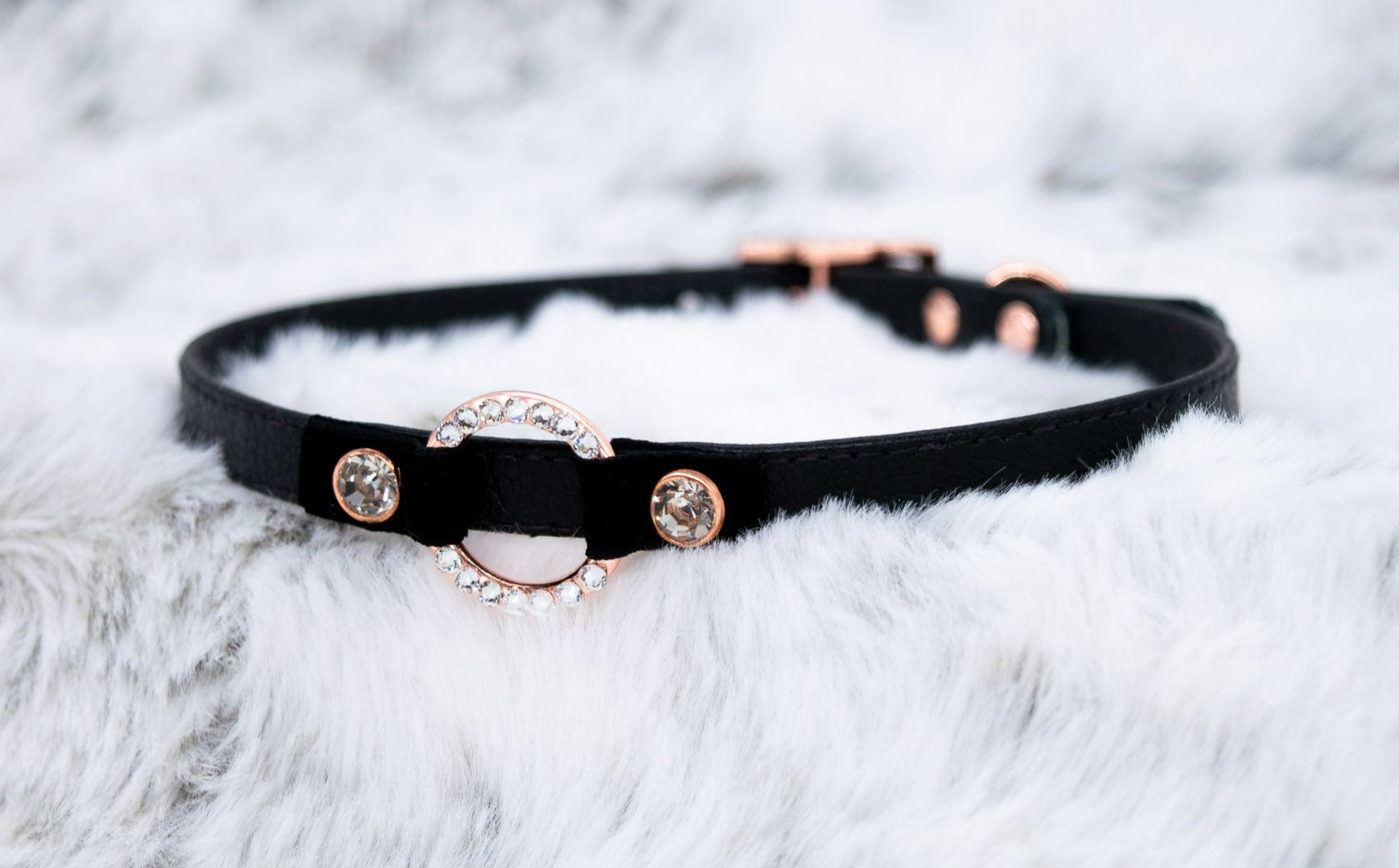 3/8" Preciosa Deluxe O-ring Black Leather and Velvet Collar in Rose Gold