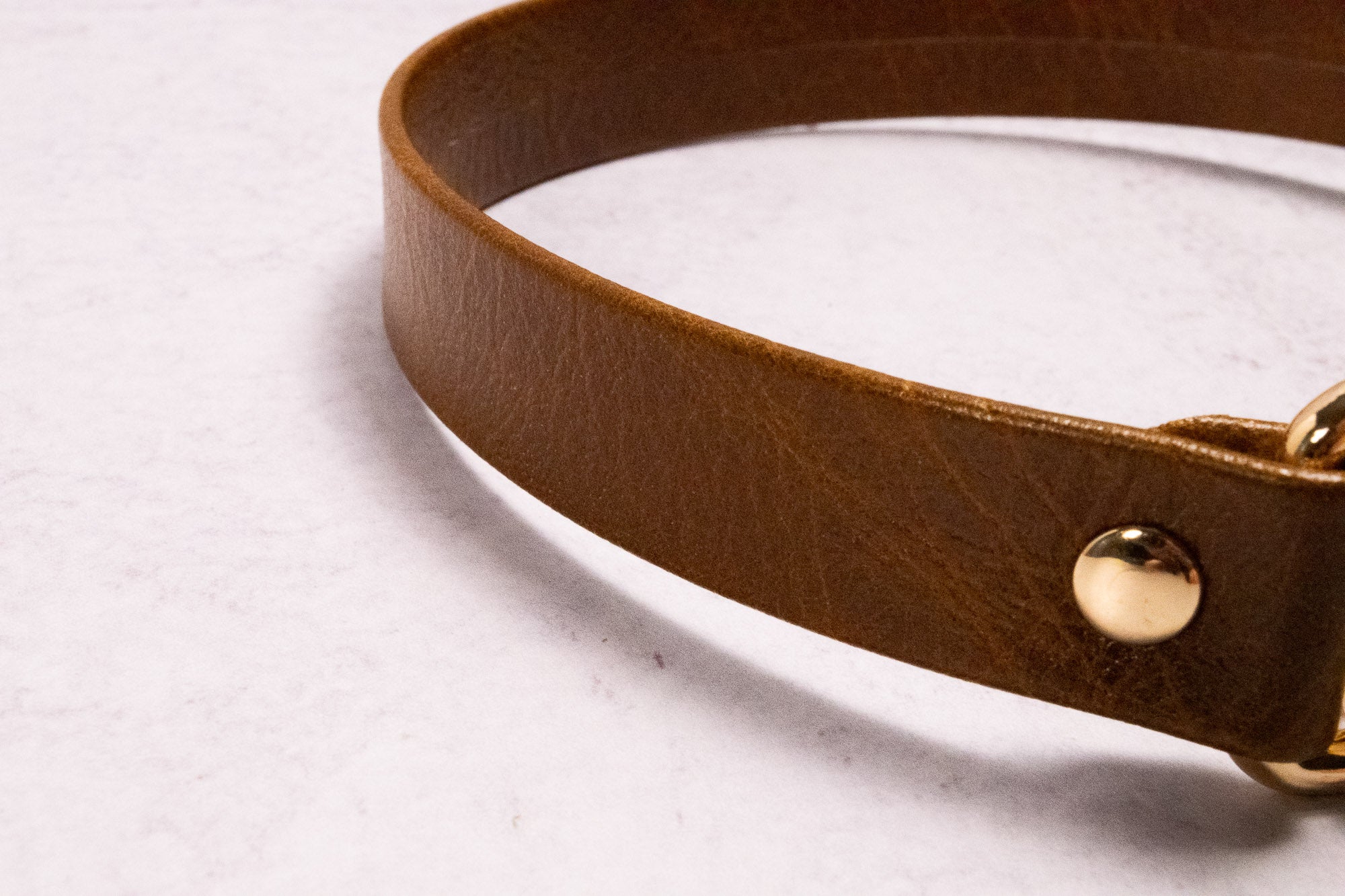 Caramel & Gold Heart Locking Martingale Collar _ LIMITED _