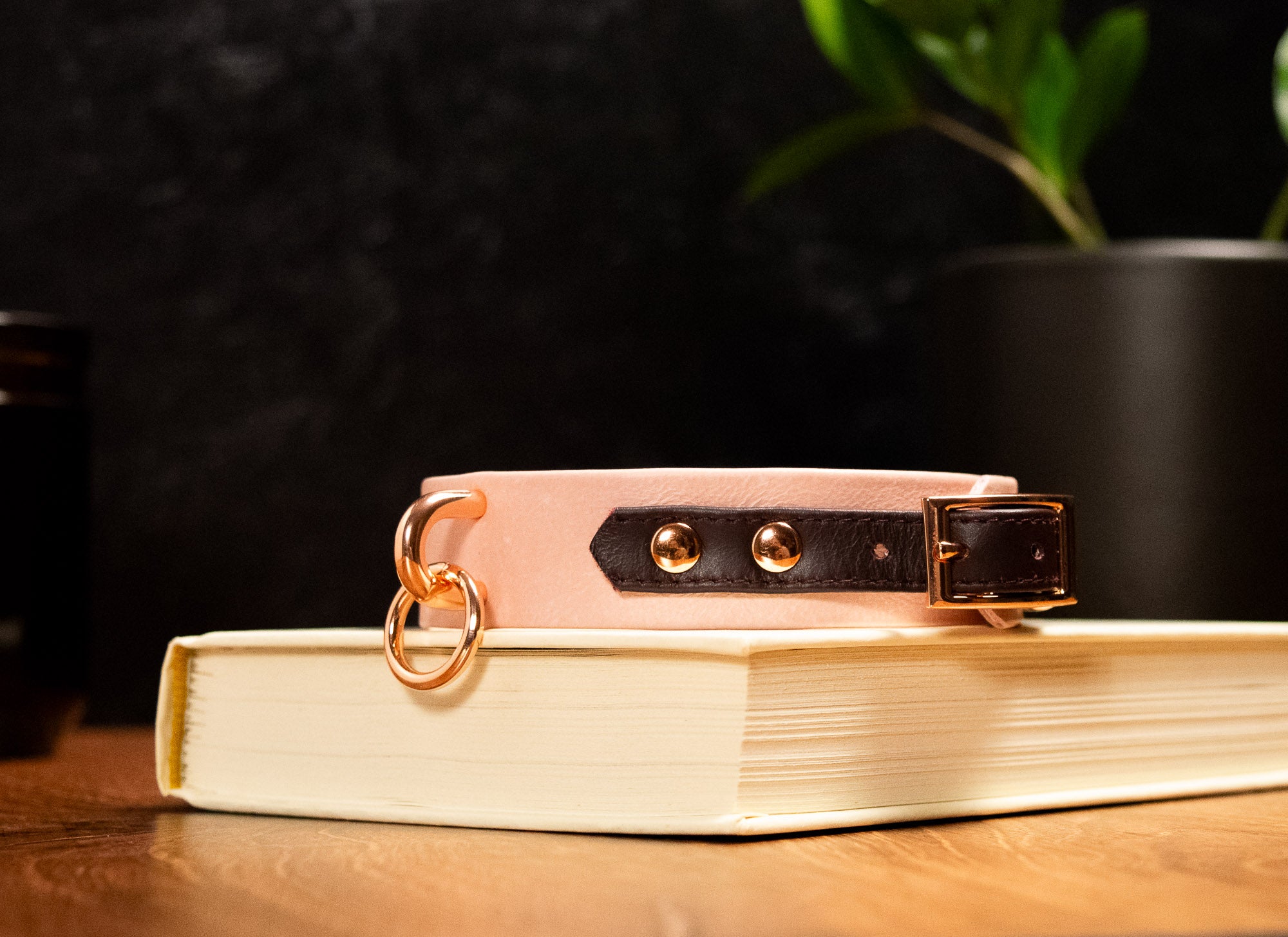 12.5" - 15" Blush & Burgundy Leather Collar _ LIMITED _