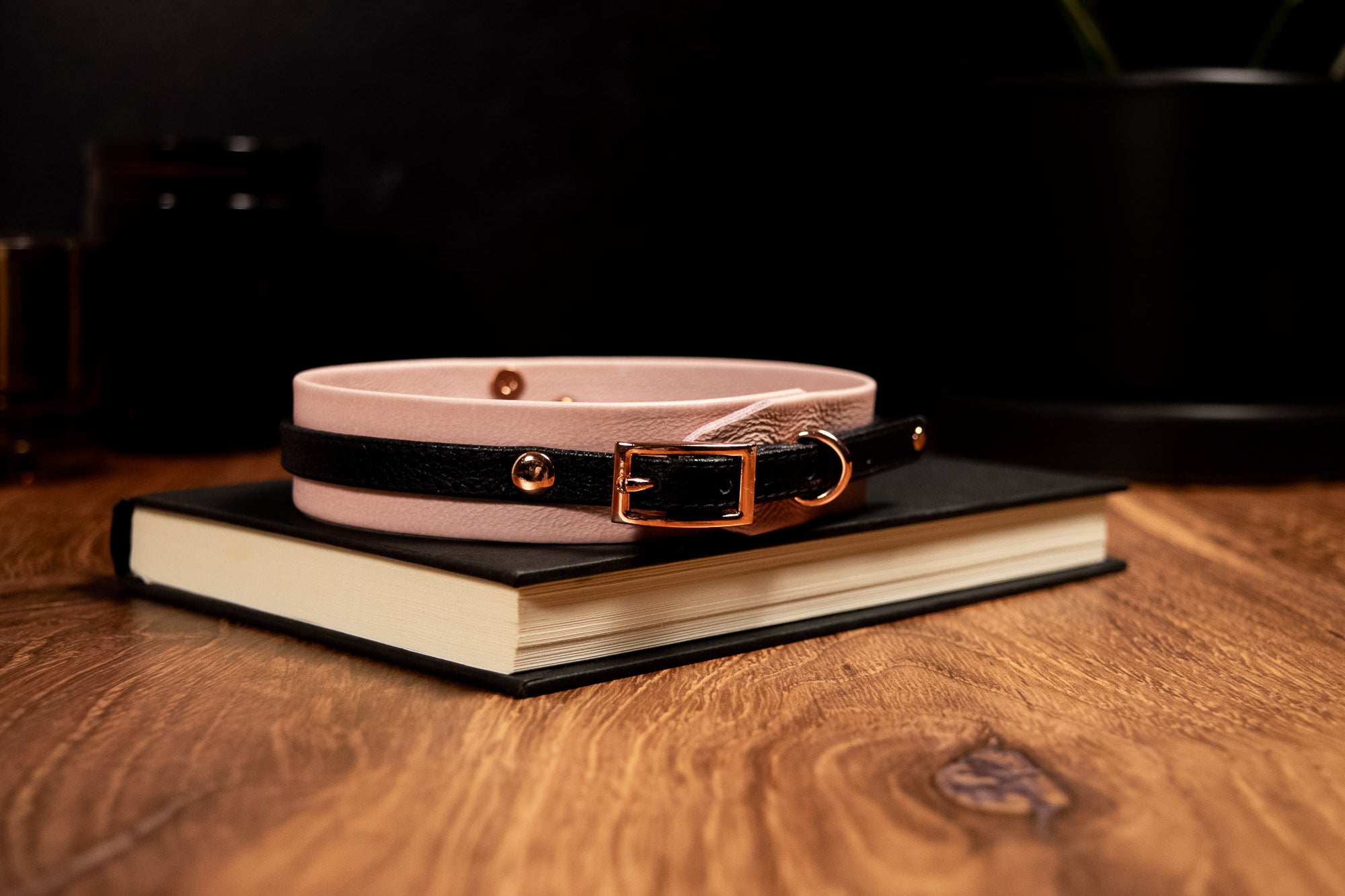 13" - 15.5" Blush & Black Leather Collar _ LIMITED _